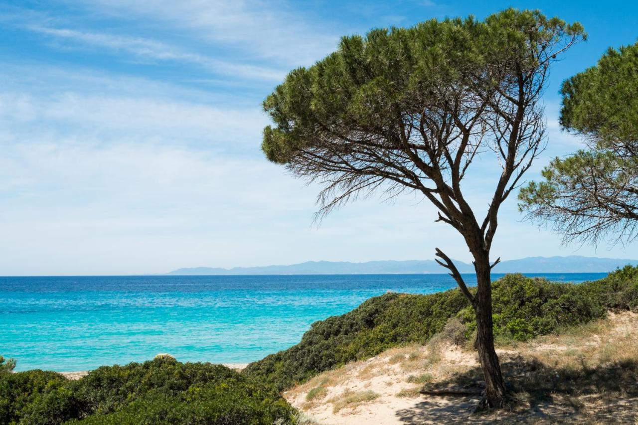 Appartamento Con Vista Mare A Terramala Terra Mala Bagian luar foto